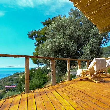 Uzak Treehouse * Faralya